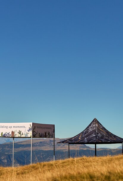 4 canopy tents with different style roofs lined up diagonally in a field with sunny blue sky. 