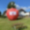 On a meadow there is a big red apple. It is an inflatable advertising medium.