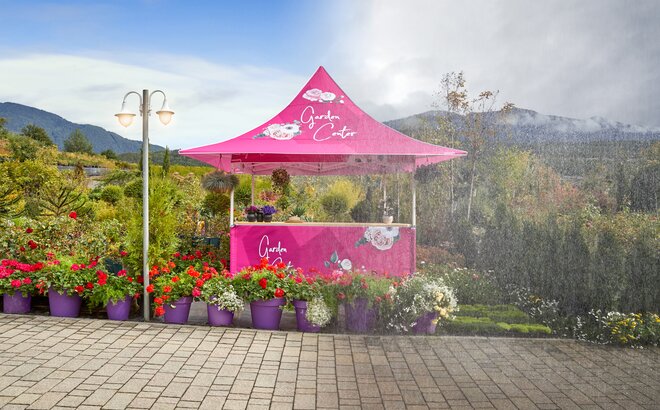 Ein pinker wasserdichter Faltpavillon von Mastertent befindet sich halb im Regen und halb im Sonnenschein. Davor stehen Blumen. 