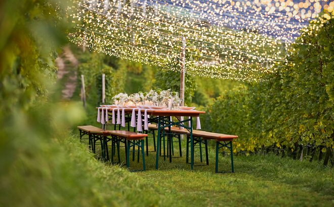 Stylisch dekorierte Bierzeltgarnituren mit weiß-grünen Blumen inmitten von Weinreben.