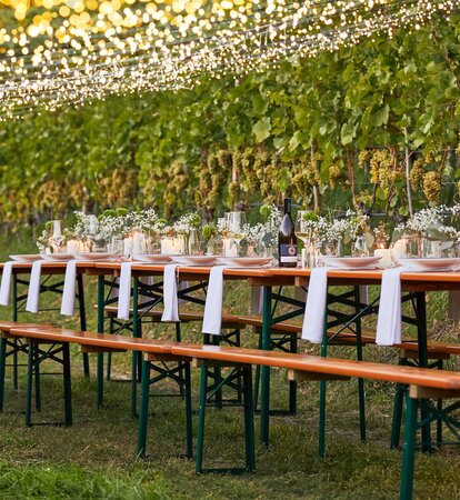 Stylishly decorated beer tent sets surrounded by vines with hanging fairy lights.