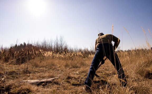 A man is planting a tree in the soil