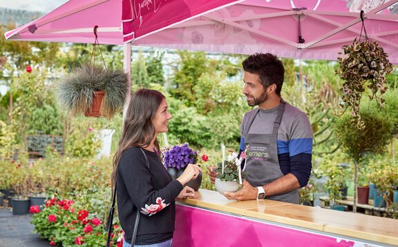 Sales negotiations between the seller of the garden center and a client under a pink gazebo with awnings. 