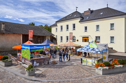 Varias tiendas de campaña en la plaza del mercado. Cada vendedor tiene su propio pabellón plegable, entre los que se agolpan clientes y compradores.
