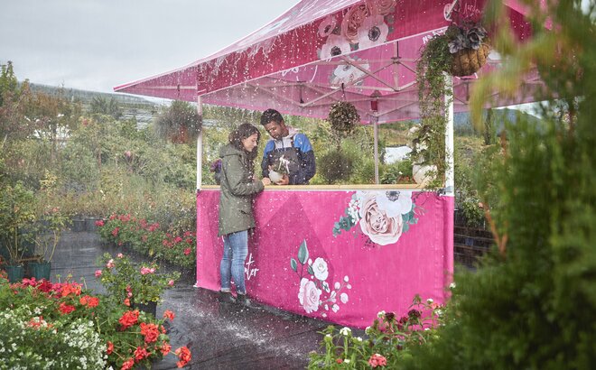 In pink und rosa bedruckter Faltpavillon mit Vordach auf einem Markt. Der Verkäufer zeigt der Kundin die Blume unter dem Vordach. Es regnet in Strömen.