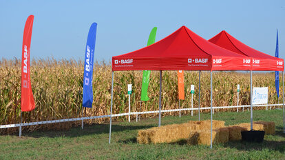 Gazebo per l'agricoltura rosso 3x3m personalizzato con logo bianco. Il gazebo ignifugo e impermeabile protegge le balle di fieno dalle intemperie e dal sole. 