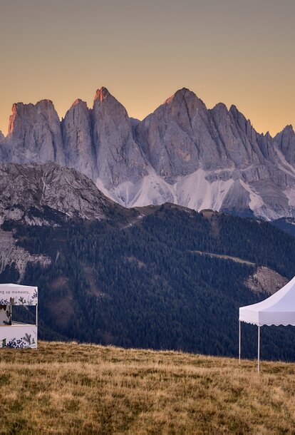 Ein bedrucktes weißes Faltzelt mit Flachdach und ein weißes Pagodenzelt stehen auf dem Plose-Berg. Die beiden Faltpavillons stehen im Sonnenuntergang vor einer Bergkette.