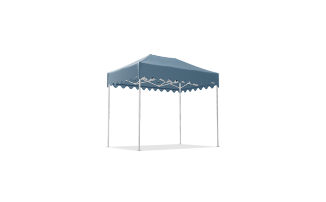 10x6.5ft Canopy Tent with Scalloped Roof | Mastertent