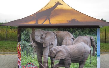 Ein 4x4 m bedrucktes Zelt mit 4 Vordächer von vorne. Am Dach ist eine Giraffe im Sonnenuntergang abgebildet und an der Seitenwand sind mehrere Elefanten abgebildet. Bei der Seitenwand links unten sind man in rot das Logo "Kenya". 