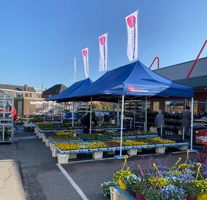 Die Gärtnerei "Ruud Sinnema" nutzt die blauen Faltzelte 6x3 m mit einem Vordach zur Überdachung der Blumen im Außenbereich der Gärtnerei. 