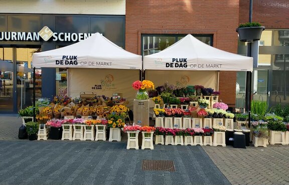 Two 3x3 m folding gazebos are standing next to each other. They have a printed roof and a black structure. Colourful flowers are underneath the tents. They are market tents.