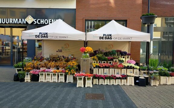 Es stehen zwei 3x3 m Faltpavillons nebeneinander. Sie haben ein bedrucktes Dach und eine schwarze Struktur. Unter den beiden Zelten stehen bunte Blumen. Es sind Marktzelte.