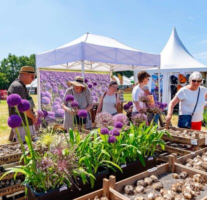 A white 3x2 m folding gazebo with a fully printed sidewall can be seen at a market. Many purple flowers are printed on the sidewall. Visitors to the market can be seen in the foreground.