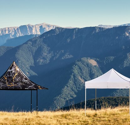 2 gazebo pieghevoli di qualità S1 e S2 vicini su un prato della montagna Plose. Un gazebo è stampato, l'altro è classico bianco.