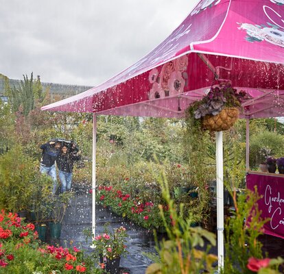 2 Personen, die im Regen mit einer Jacke über dem Kopf zum schutzbringenden Faltpavillon laufen